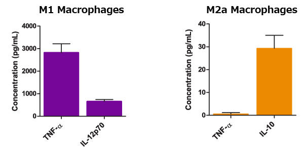 0988_06_Differentiated_Macrophages_cytokines.jpg