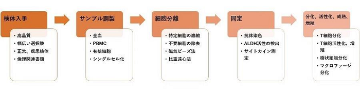 細胞分離特集|特集・クローズアップ | ベリタス