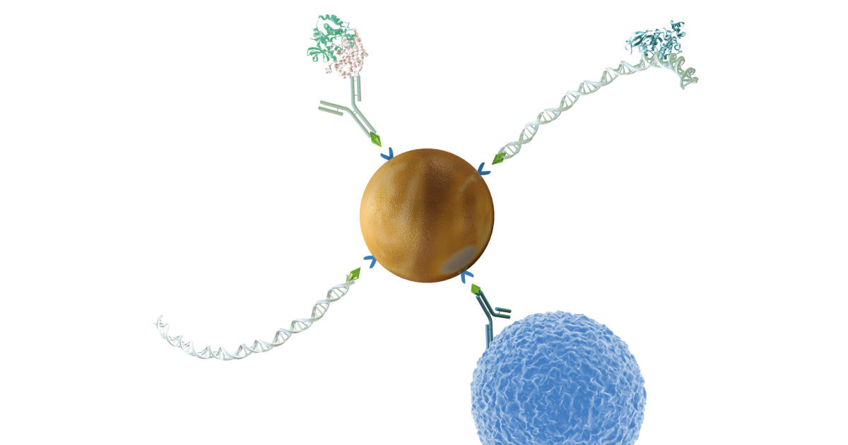 ストレプトアビジンが結合した磁性粒子-Dynabeads Streptavidin シリーズ