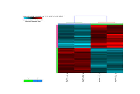 1013_EasySep_MDS_Fig2.jpg