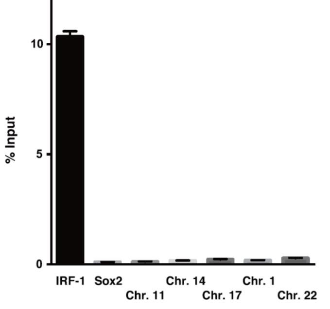 1020_enChIP_Fig1.jpg