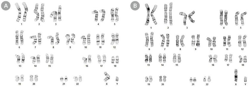 1031_Fig08_TeSR_CloneR_Genome_editing_Fig5.jpg