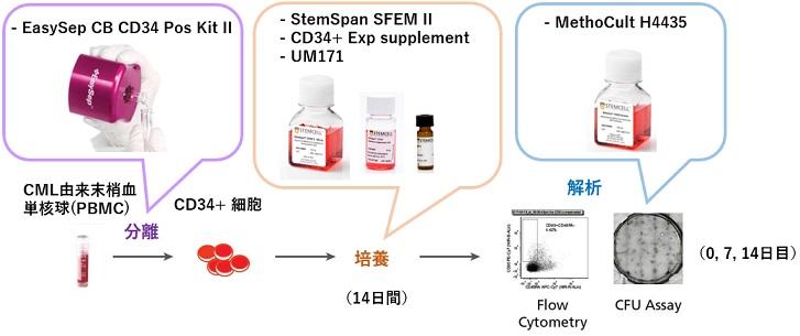 1062_01_StemSpan_CML.jpg