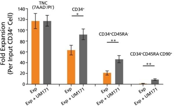SFEM IIとUM729を使用したCD34陽性細胞の無血清培養増殖6.jpg