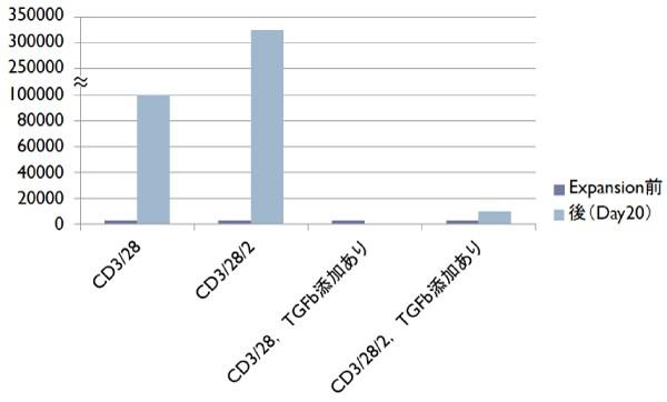 Immunocult添加時のCD4+T細胞増幅.jpg