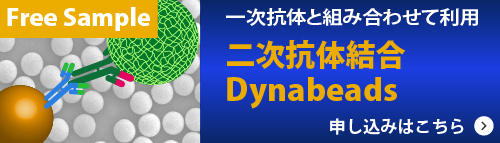 2ndAbDynabeads-sample-banner500x143.jpg