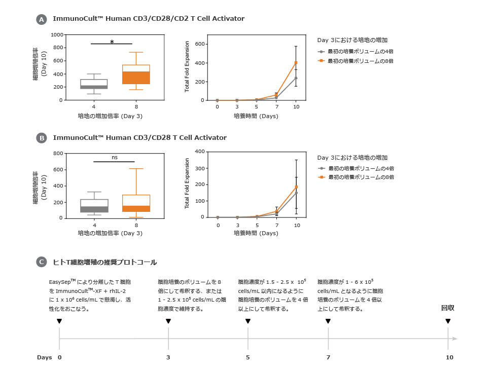 ヒトT細胞増殖プロトコールの最適化：増殖初期での細胞希釈の効果について2-2.jpg