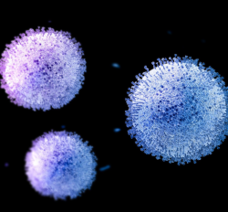 LABScreen™ COVID Plus1.png