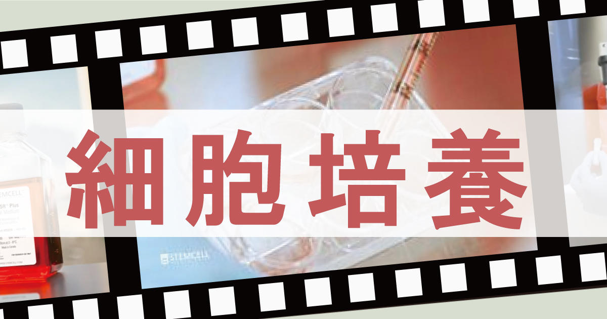 動画で学ぶ　細胞培養
