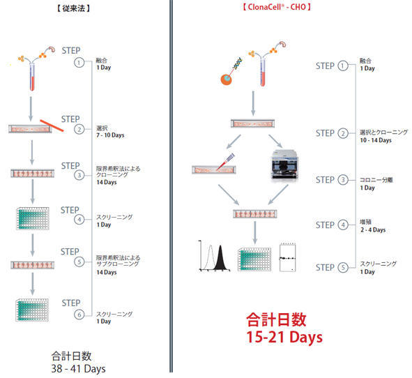 ClonaCell-CHO_3[1][1].jpg