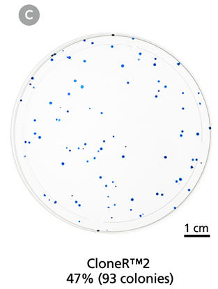 CloneR2-data3c.jpg