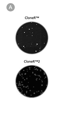 CloneR2-data4a.jpg