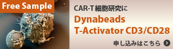 DB-T-act-sample-banner.jpg