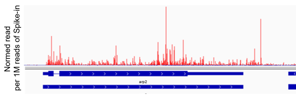 DB_researcher47_02.png