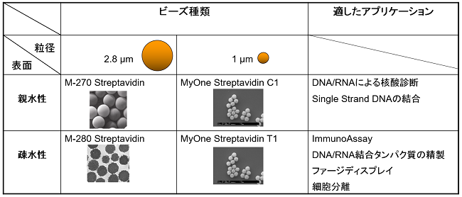 Dynabeads Streptavidin-1_rev.png