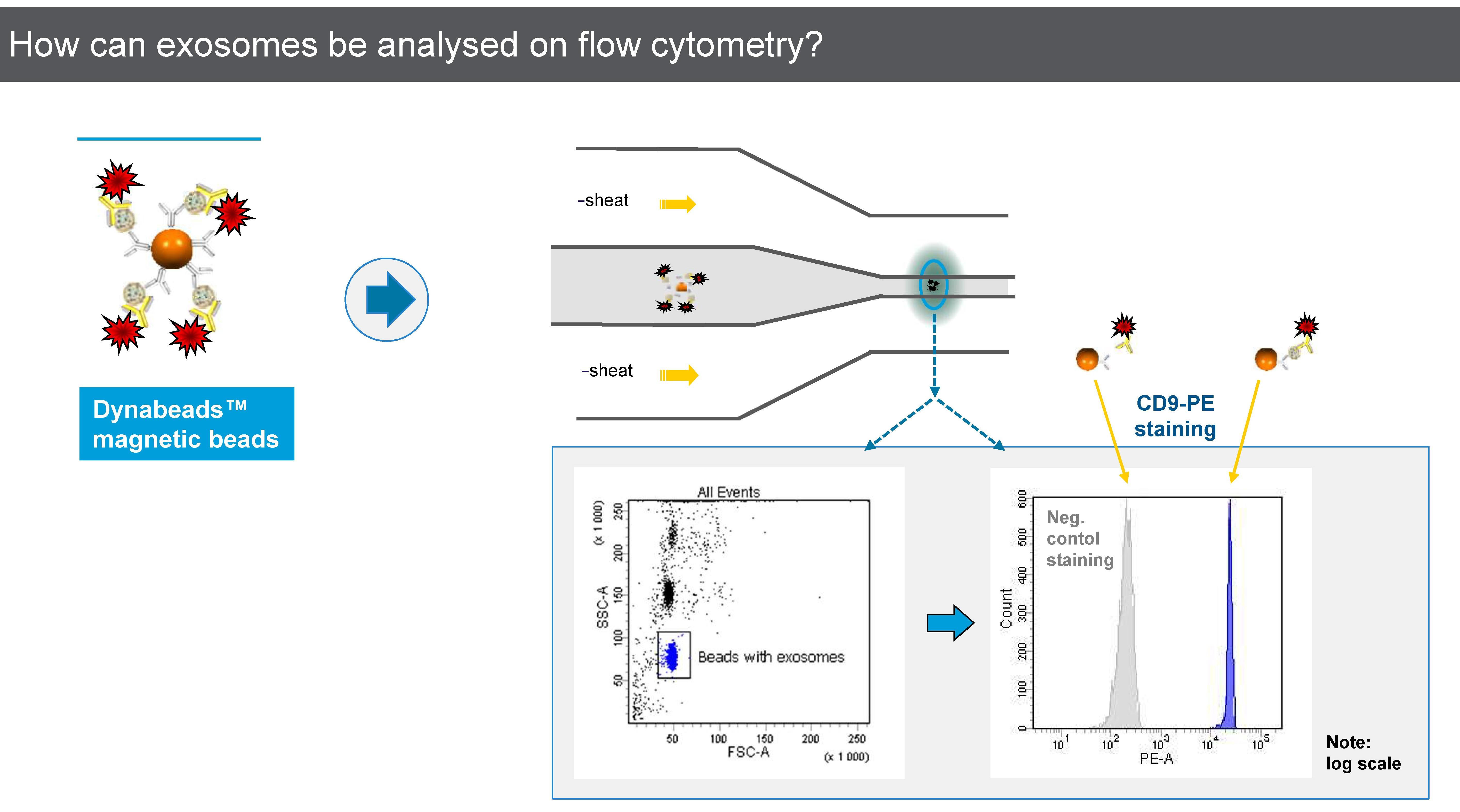 Dynabeads Exosome FCM analysis.jpg