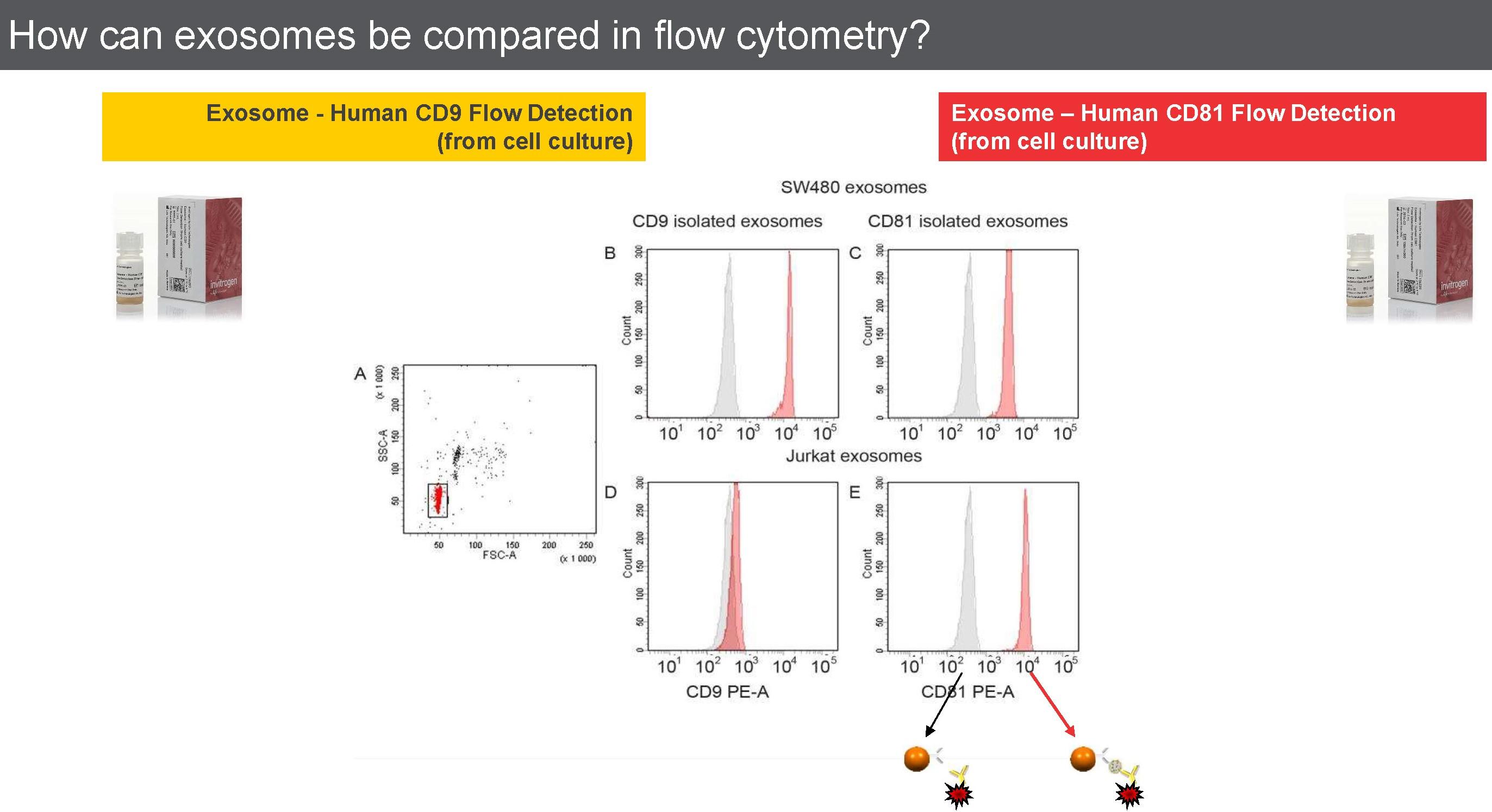 Dynbeads Exosome compared.jpg