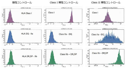 FlowDSA-XM_Data_Example.jpg