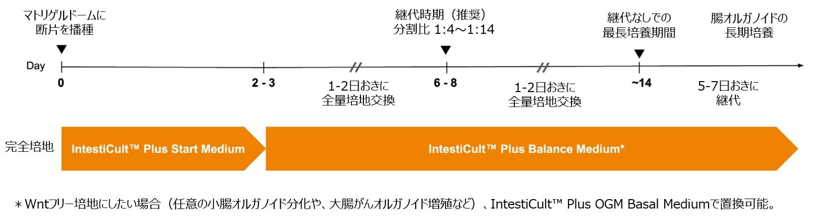IntestiCultPlus_flow.jpg