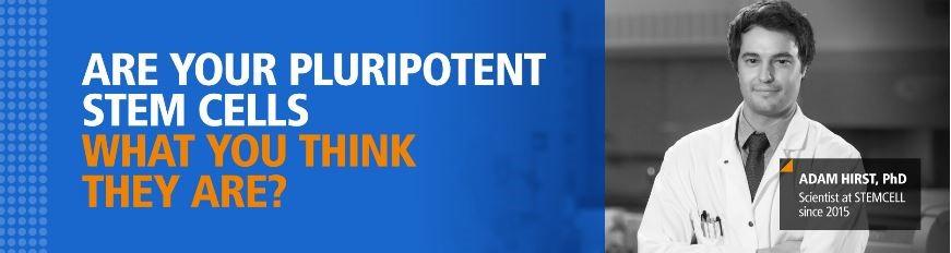 Pluriponent Stem Cells logo.jpg