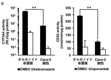 Researchers32-Fig2-D.png