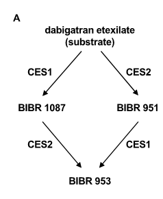 Researchers32-Fig3-A.png