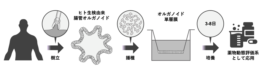 Researchers32-Fig4.png