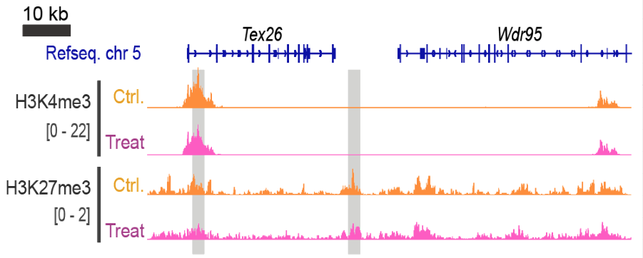 Result_Fig1-2.png