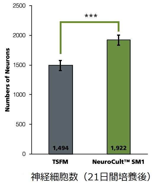 SM1_neuron_data.jpg