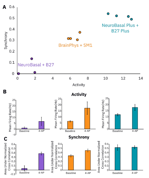 Screenshot 2025-08-12 142145.png