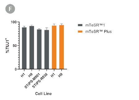 Sensory-neuron-fig1f.png