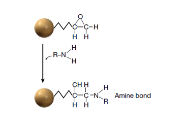 aminebond_activation.png
