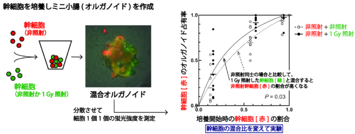 研究者の声【25】研究内容.png