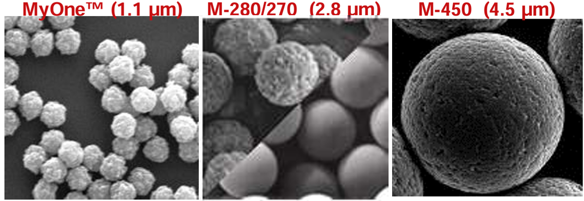beads_size.png