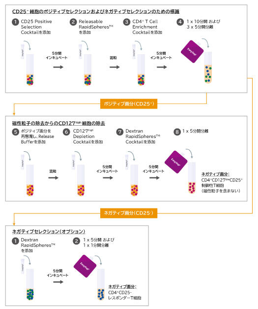 cellsep-handbook02_pic1.jpg.jpg
