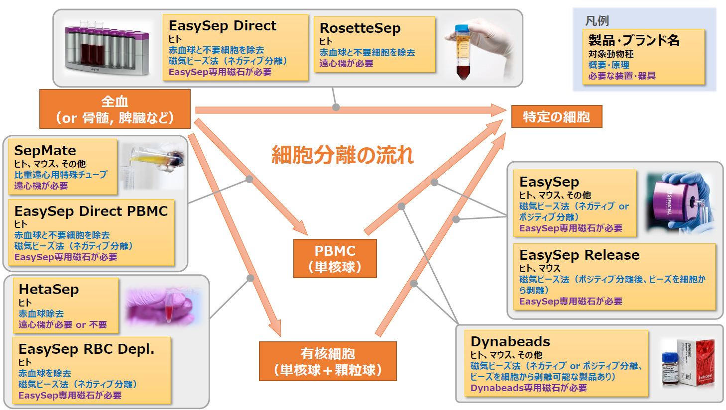 cellsep_flow_products.png