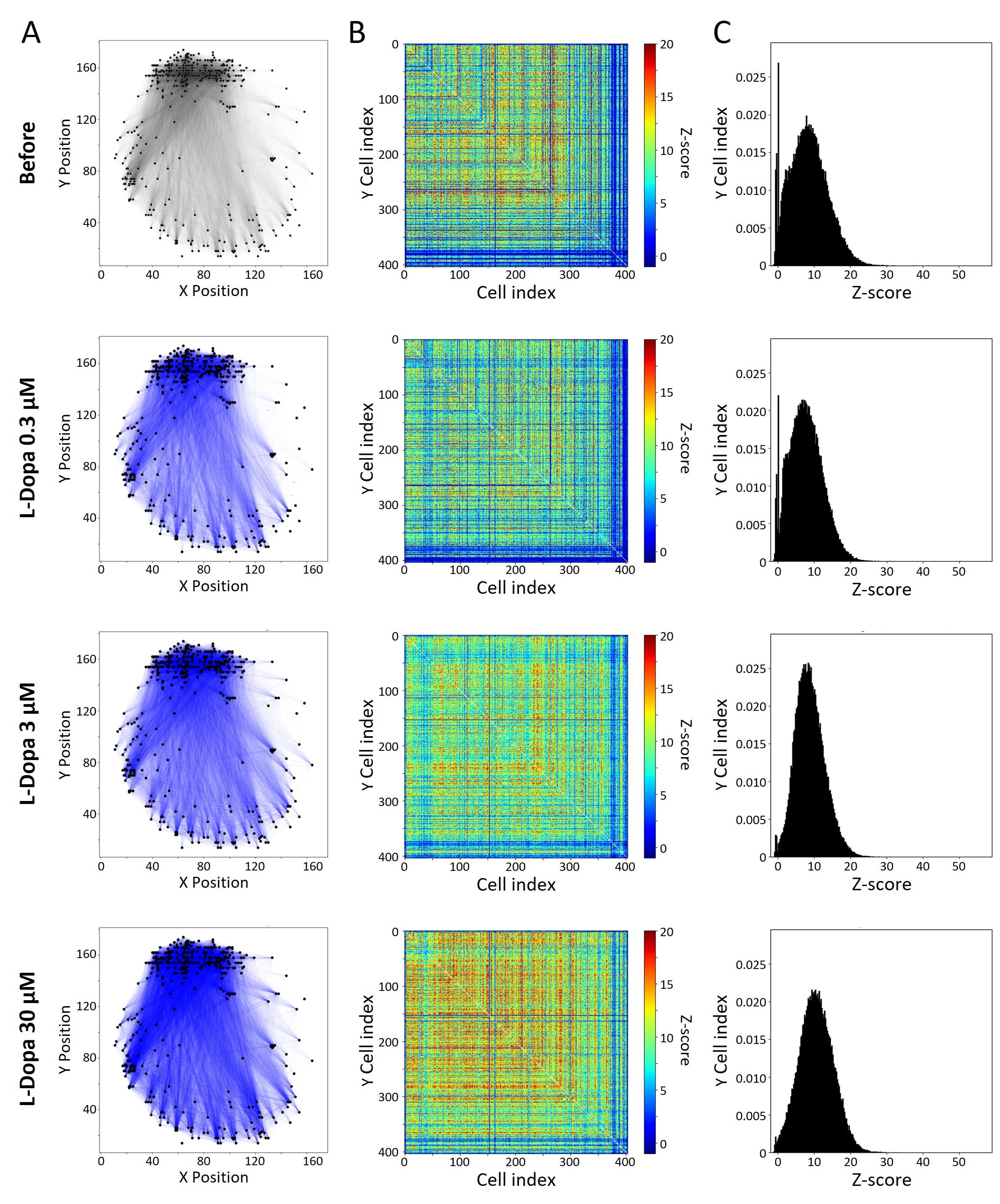 fig3_neural_nwk.jpg