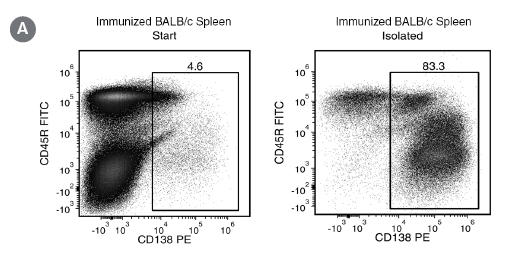 hybridoma-easysep-clonacell-fig2a.jpg