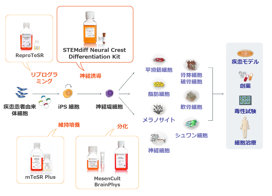 ncc-workflow.png