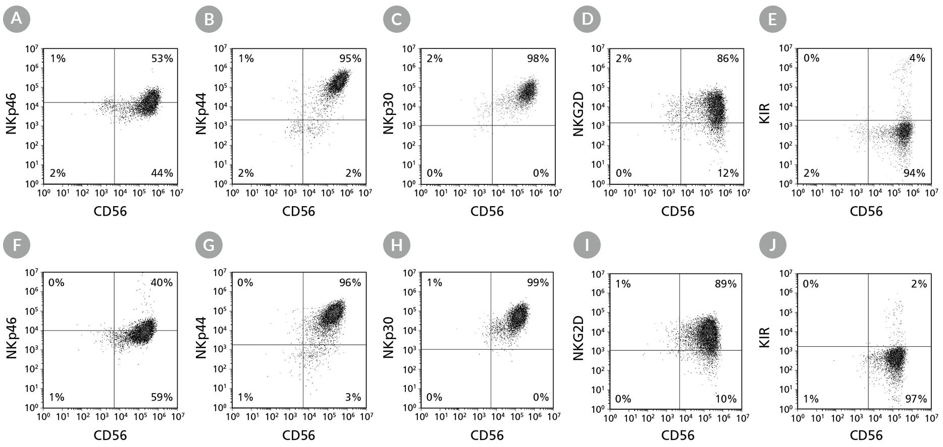 nk-cell-tb-fig6.jpg