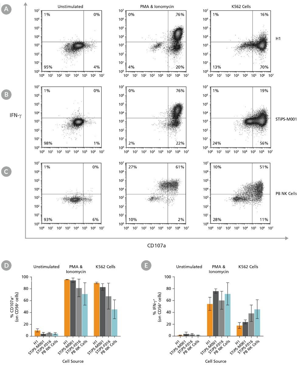 nk-cell-tb-fig8.jpg