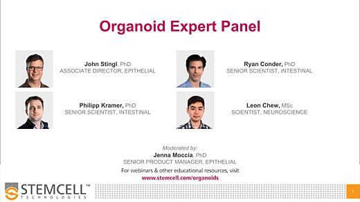 organoid_expert_panel_thumbnail.png
