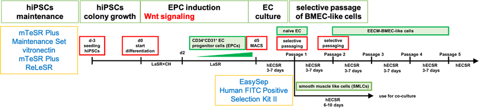 researcher37-fig1.png