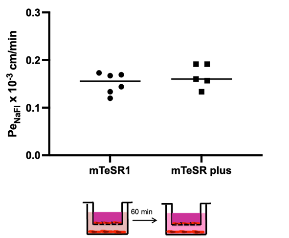 researcher37-fig3.png